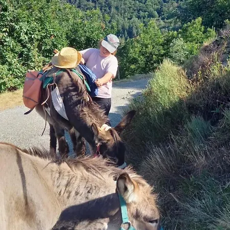 Κάμπινγκ Mini Les Soleillas Chalencon